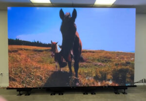 outdoor led video wall